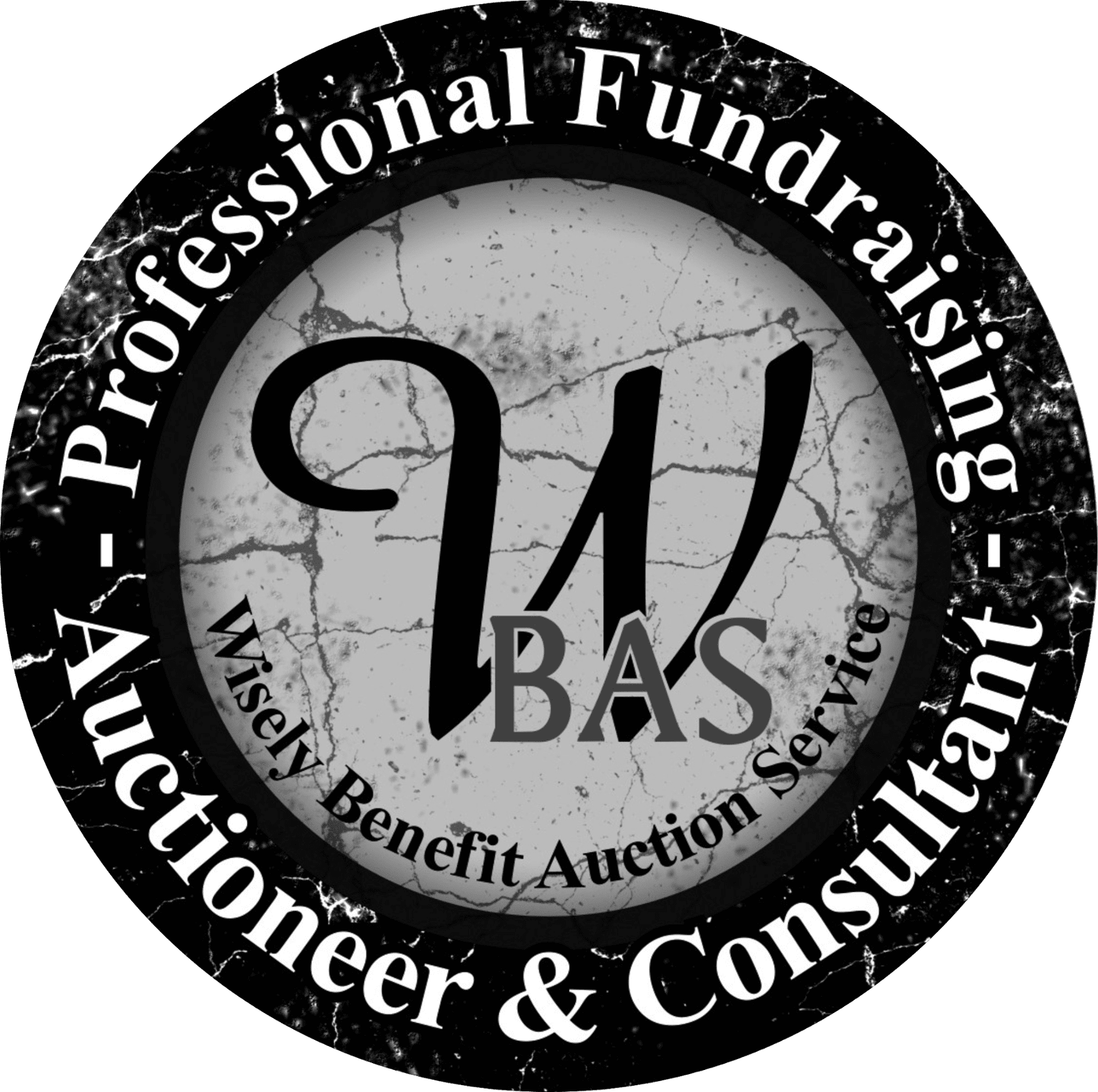 BenefitAuctioneer.us